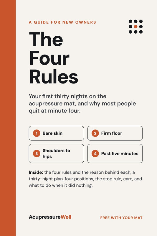 The Four Rules — digital guide cover